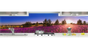 Champ de fleurs et lumière