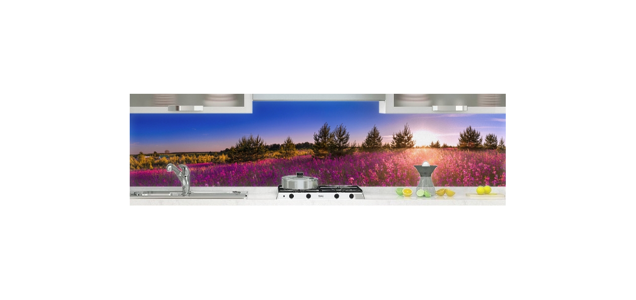 Champ de fleurs et lumière