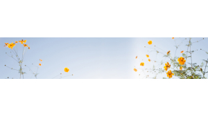 Panneau de bain : Fleurs et Ciel