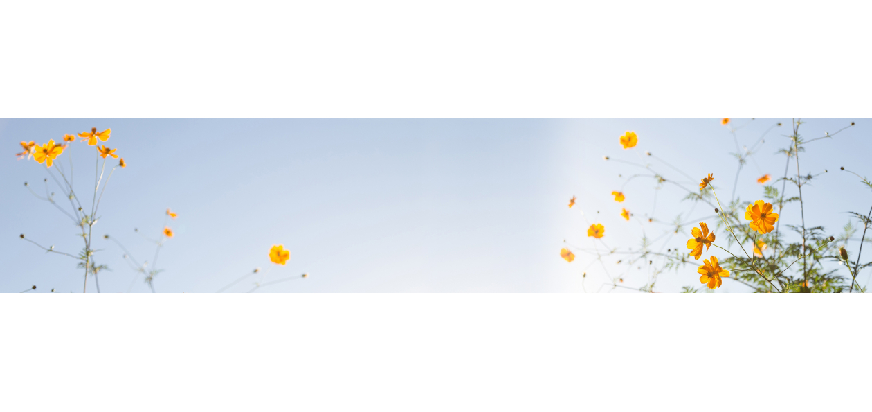 Panneau de bain : Fleurs et Ciel