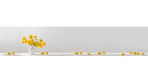 Panneau de bain : Pot de Fleurs Jaunes