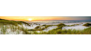 Panneau de bain : Dunes et mer 3