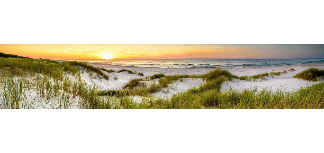 Panneau de bain : Dunes et mer 3
