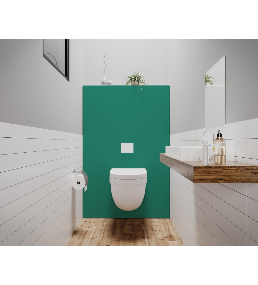 Panneau de WC : Vert patine RAL 6000