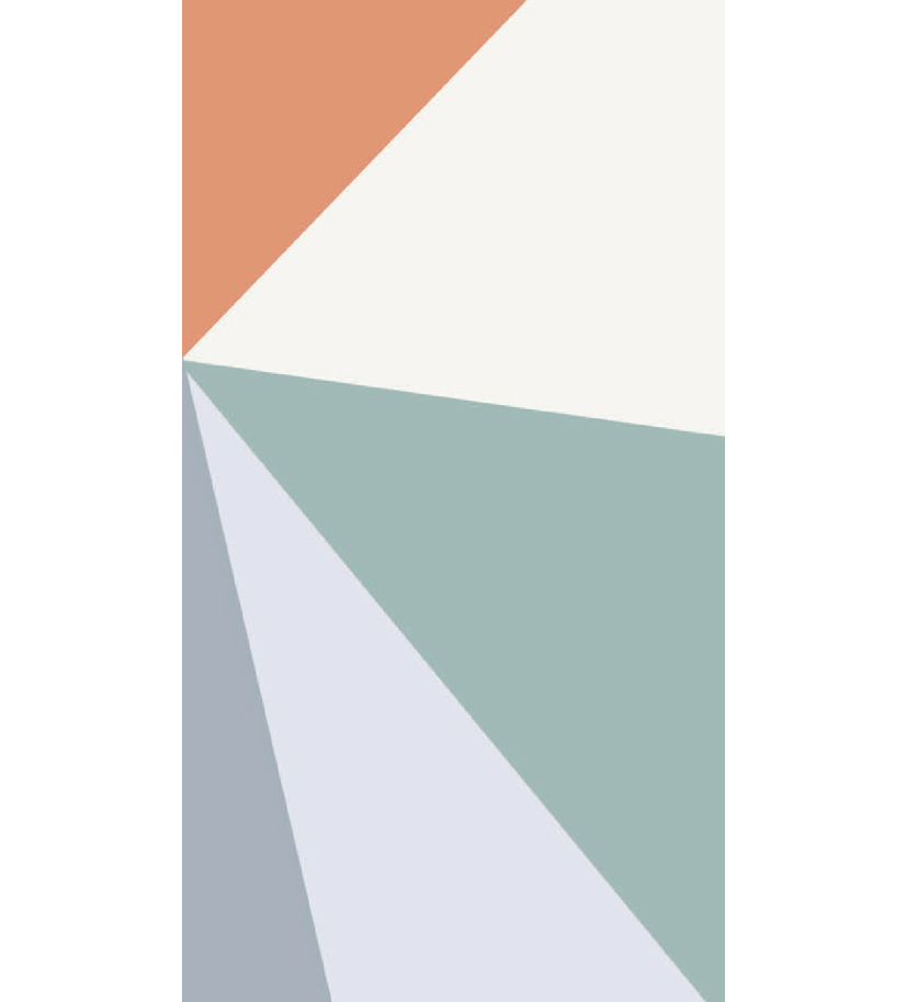 Panneau de WC : Diagonales et couleurs 1