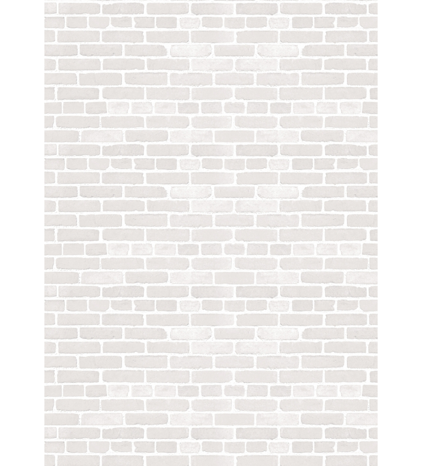 Panneau de WC : Mur briques blanches 2