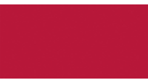Panneau de bain : Rouge oriental RAL 3031