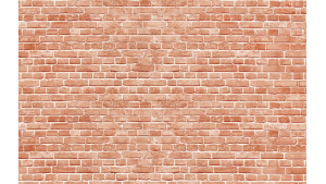 Panneau de bain : Mur Brique Rouge 2