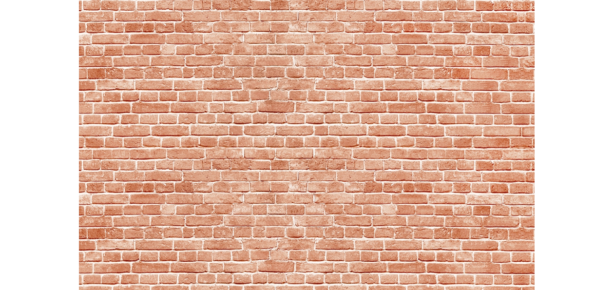 Panneau de bain : Mur Brique Rouge 2
