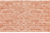 Panneau de bain : Mur Brique Rouge 2