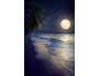 Panneau de WC : Plage et lune