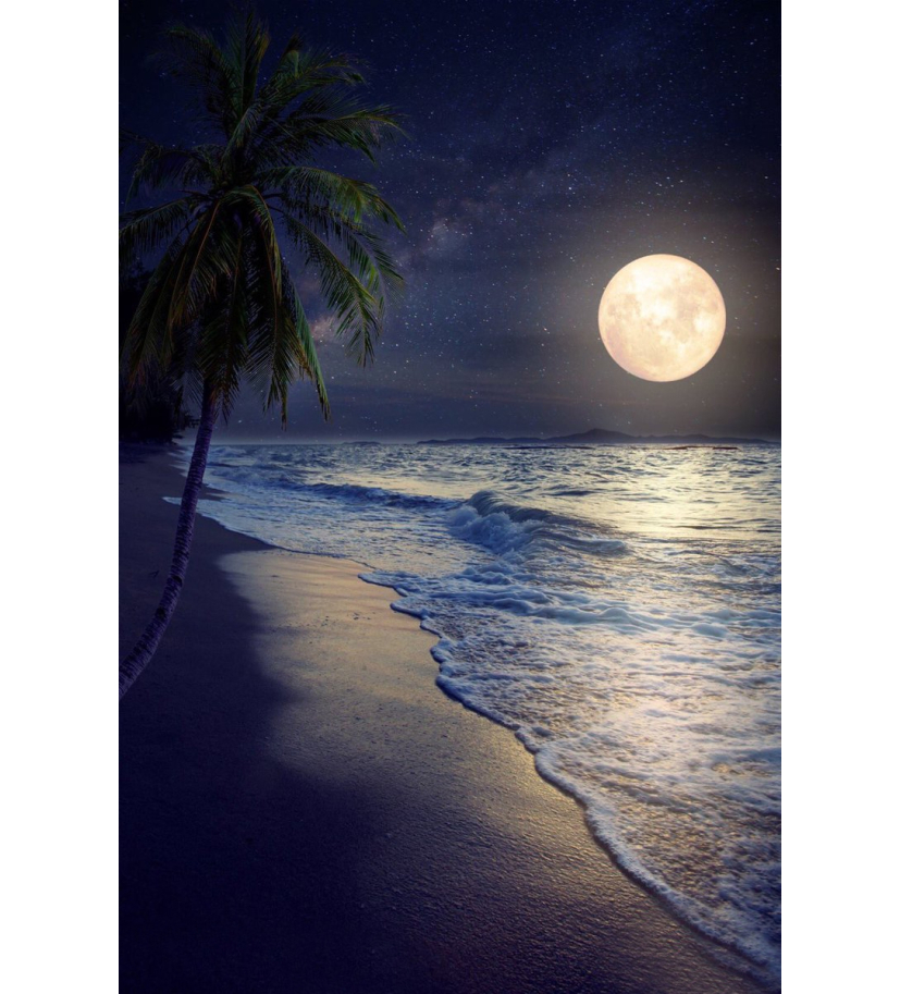 Panneau de WC : Plage et lune