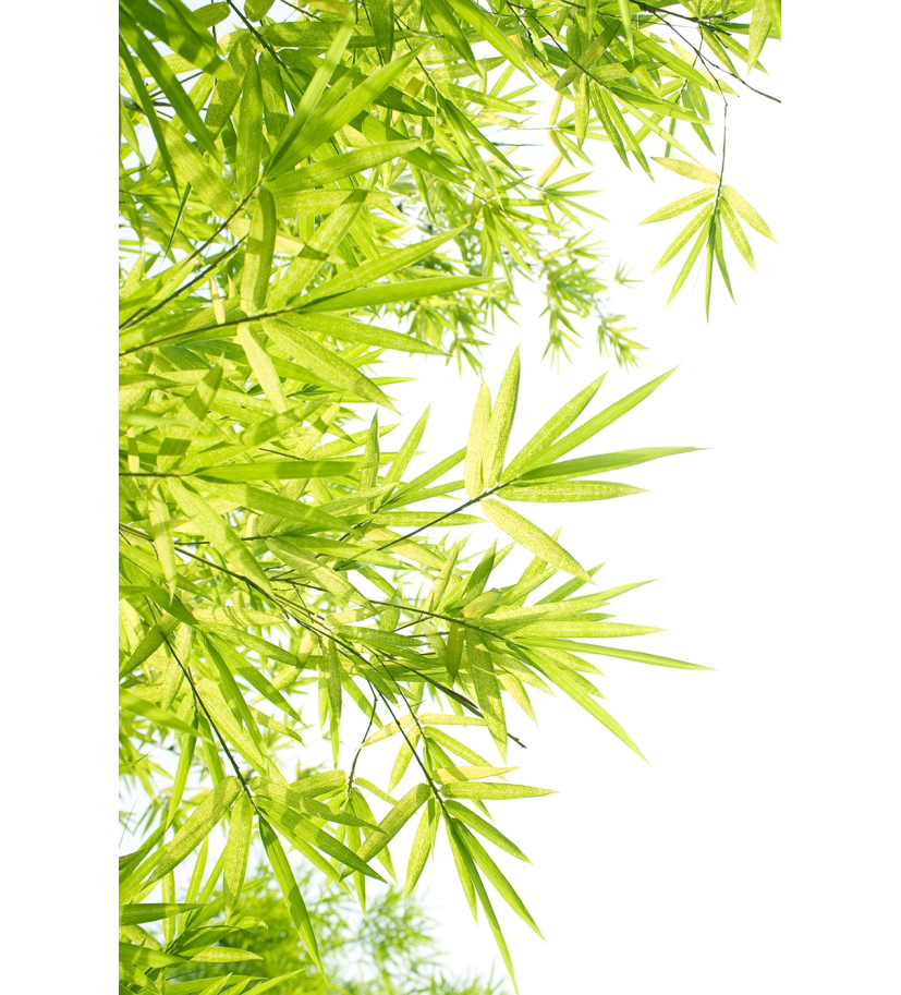 Panneau de WC : Vegetal verdoyant