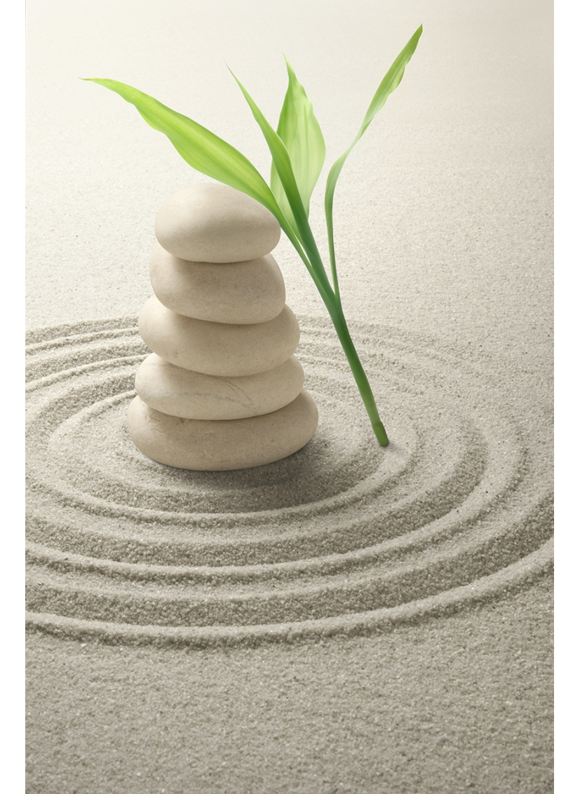 Panneau de WC : Sable zen végétal