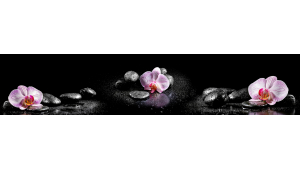 Panneau de bain : Galets et orchidées sur fond noir
