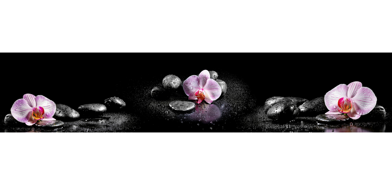 Panneau de bain : Galets et orchidées sur fond noir