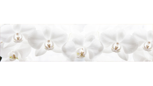 Panneau de bain : Orchidées Blanches