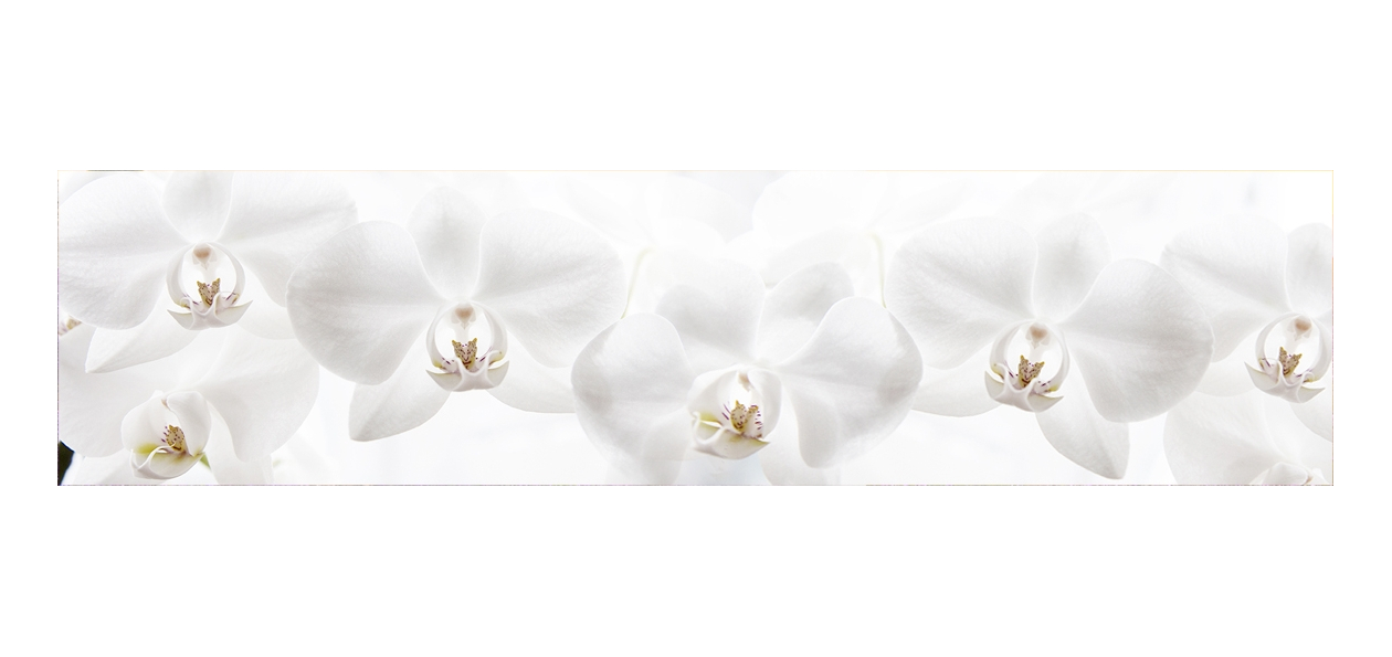 Panneau de bain : Orchidées Blanches