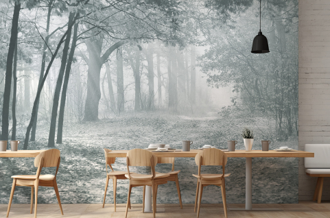 Papier peint : Forêt et...