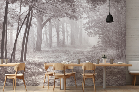 Papier peint : Forêt et...