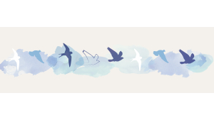 Tablier de bain : Oiseaux et ciel