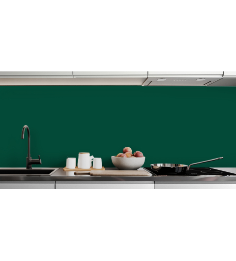 Vert mousse RAL 6005