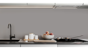 Gris platine RAL 7036