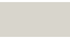 Blanc gris RAL 9002