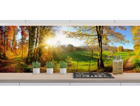 Campagne et lumière