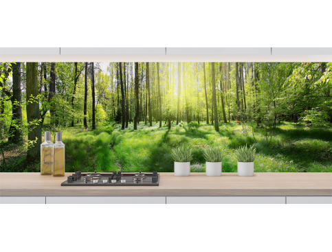 Forêt lumineuse