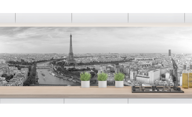 Vue de Paris