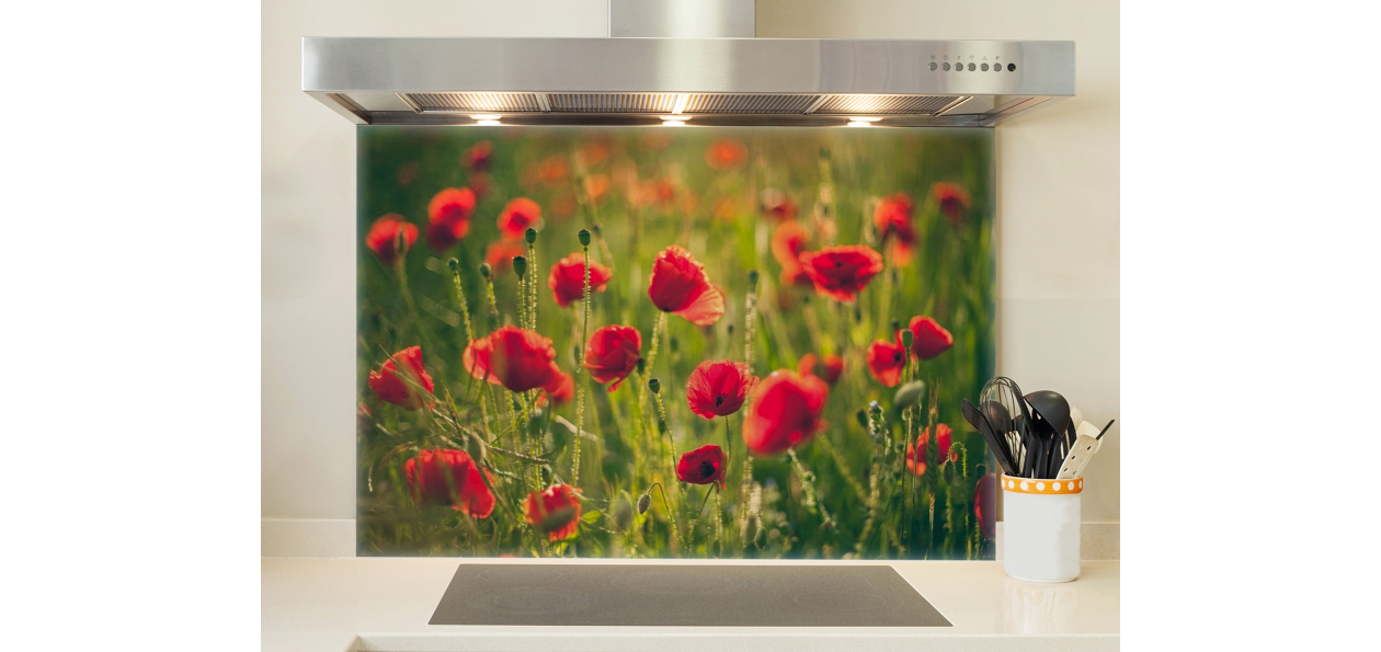 Coquelicots lumineux