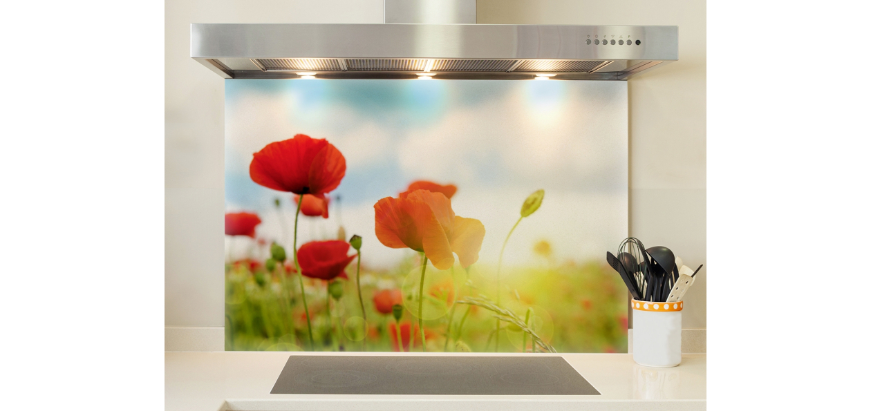 Coquelicots et lumière