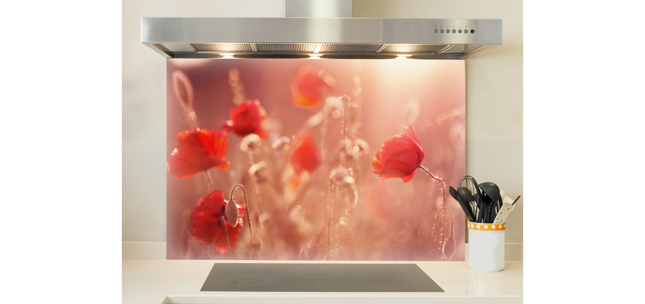 Coquelicots sauvages