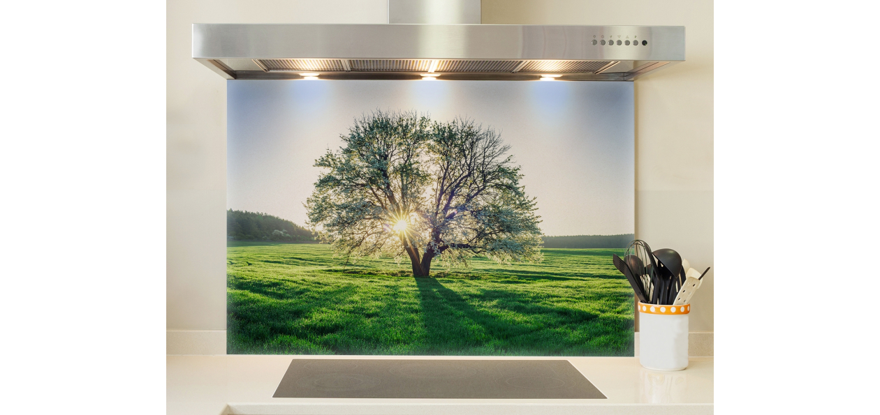 Arbre et lumière