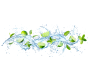 Bain de citrons et menthe