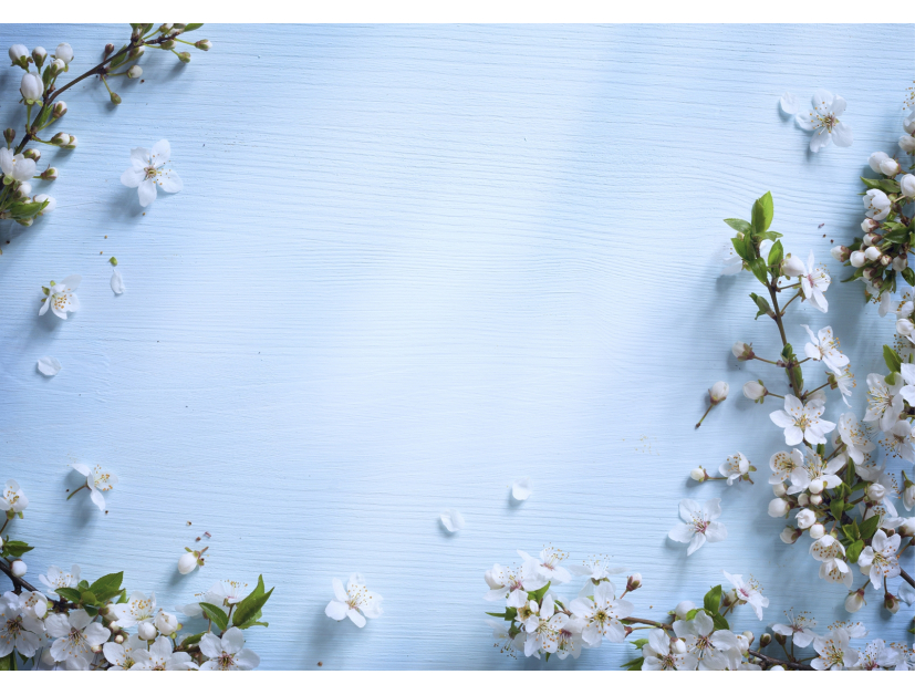 Fleurs blanches sur fond bleu