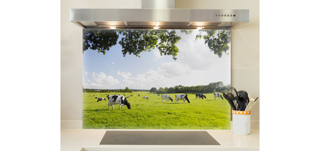  champ de vaches paysage