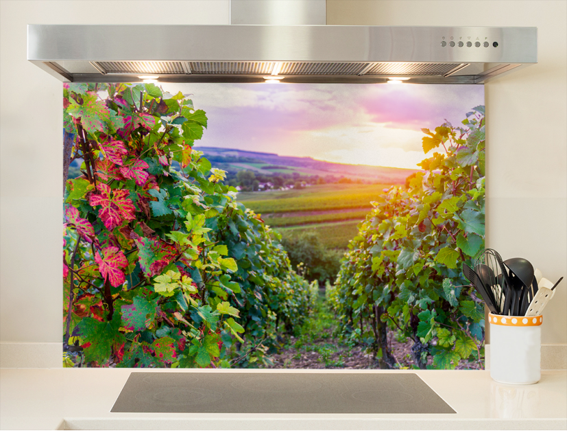 Vignoble