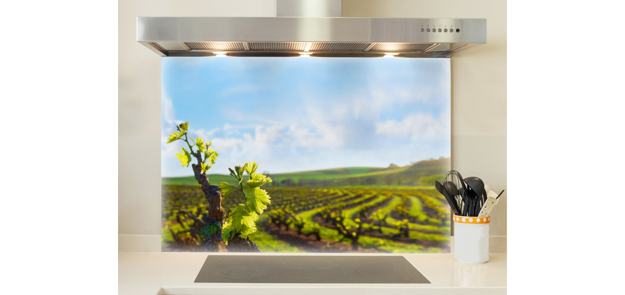 Les vignes