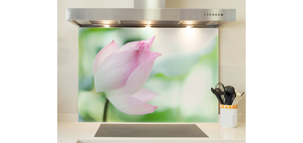 Lotus Zen