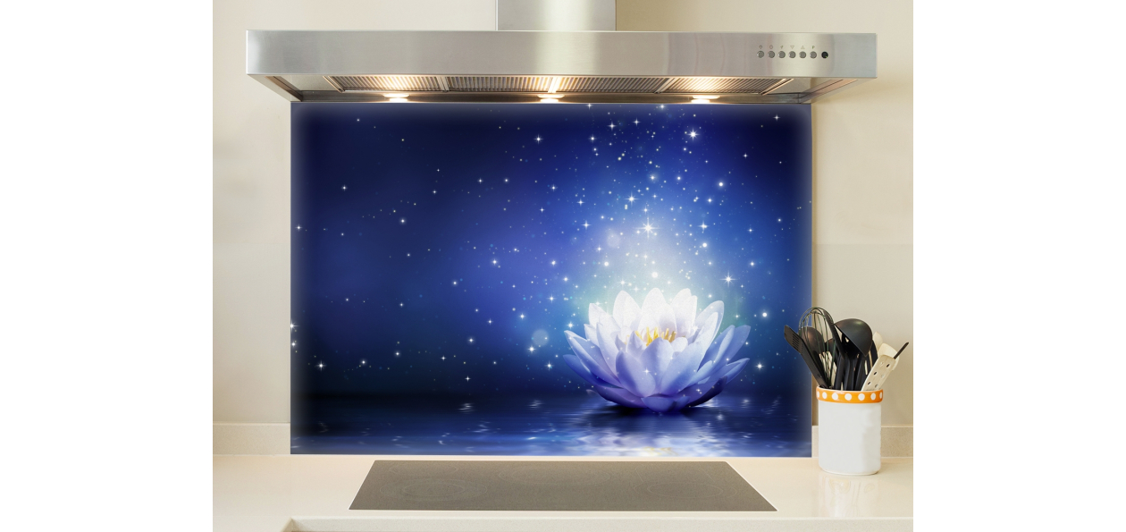 Lotus et lumière