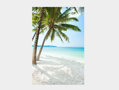 Tableau : Plage Et Palmiers