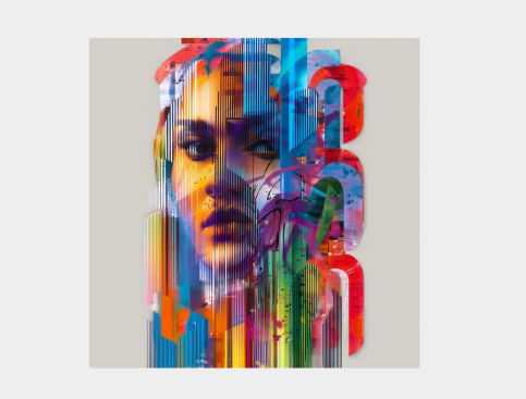 Tableau : Visage Du Bruit
