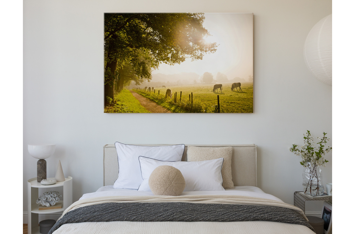 Tableau: Champ De Vaches Lumineux
