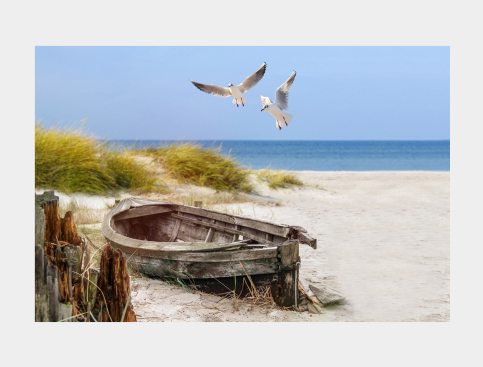 Tableau: Dunes Et Mouettes