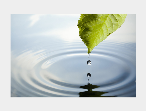 Tableau : Feuille Et Goutte...