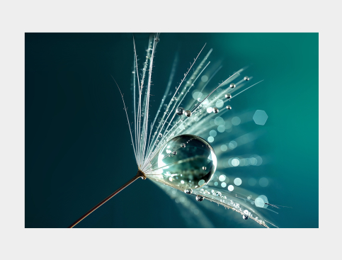Tableau : Goutte Sur Un...