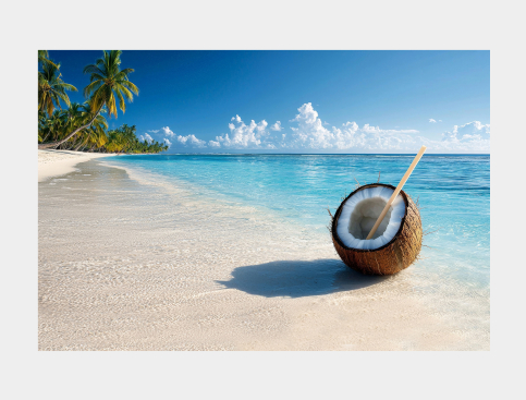 Tableau : Noix De Coco Et...