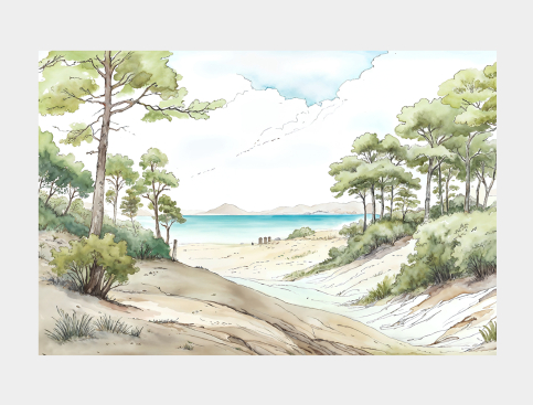 Tableau : Plage Sud Ouest,...